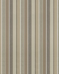 Sunbrella Furniture Stripe Milano 56079-0000 Char by  Abbeyshea Fabrics 