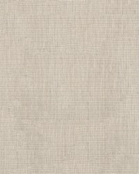 Sunbrella Furniture Echo 57005-0000 Ash by  Abbeyshea Fabrics 