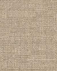 Sunbrella Furniture Echo 57007-0000 Dune by  Abbeyshea Fabrics 