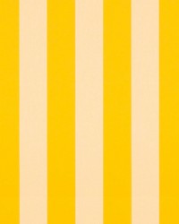 Sunbrella 5702 Yellow/White 6 Bar by   