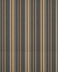 Sunbrella Furniture Stanton 58002-0000 Greystone (Stripe) by  Abbeyshea Fabrics 