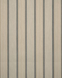 Sunbrella Furniture Cove 58036-0000 Pebble by  Abbeyshea Fabrics 