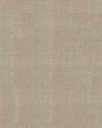 Sunbrella Furniture Linen 8319 Stone by  Abbeyshea Fabrics 