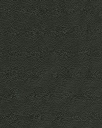 Tonneau Levant T 1039 Black by  Abbeyshea Fabrics 