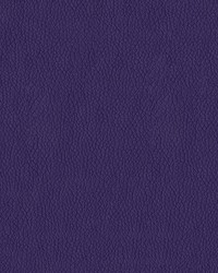 Turner 1009 Plum by  Abbeyshea Fabrics 