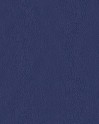 Turner 3003 Pacific Blue by   