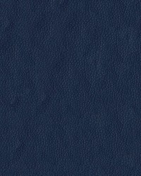 Turner 3006 Navy by   