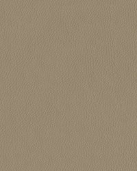 Turner 3948 Taupe by   