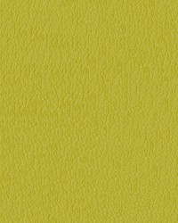 Turner 54 Citron by  Abbeyshea Fabrics 