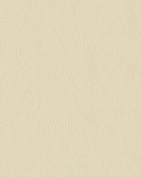 Turner 6003 Cream by  Abbeyshea Fabrics 