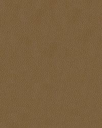 Turner 608 Sandstone by  Abbeyshea Fabrics 