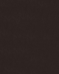 Turner 8020 Chocolate by  Abbeyshea Fabrics 