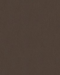 Turner 808 Mocha by  Abbeyshea Fabrics 