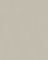 Turner 9003 Grey by  Abbeyshea Fabrics 