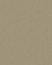 Viva 606 Sand by  Abbeyshea Fabrics 