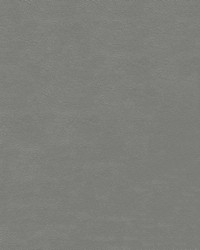 Wallaby Soft 9861 Grey by  Abbeyshea Fabrics 