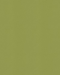 Whisper Vinyl 2160 Sassafras by   