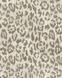 Wild Thing 601 Latte by  Abbeyshea Fabrics 