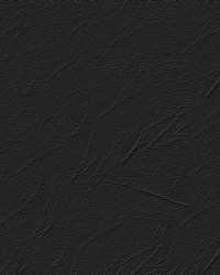 Winterzone - Black by  Abbeyshea Fabrics 