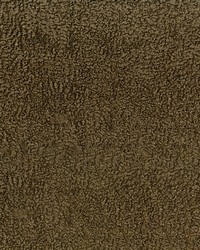 Zazzle 64 Taupe by  Abbeyshea Fabrics 