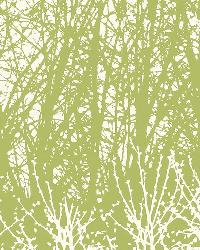 BIRCHES LEAF/WHITE by  Schumacher Wallpaper 