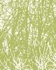 Schumacher Wallpaper BIRCHES LEachF/WHITE