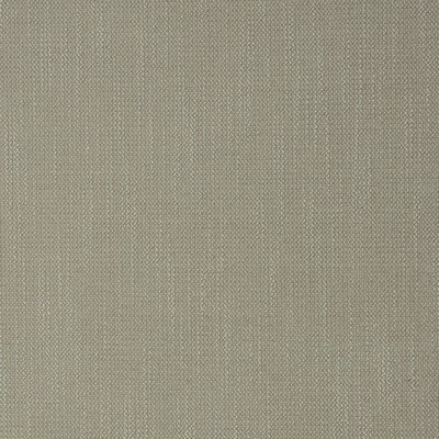 Mitchell Fabrics Stamina Flax in 1813 Beige Multipurpose Polyester Fire Rated Fabric Crypton Texture Solid  Heavy Duty CA 117   Fabric
