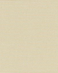 Cortland Weave Sand by  Scalamandre 