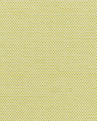 Berkshire Weave Lime by  Scalamandre 