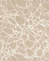 Velvet Marble Taupe by   