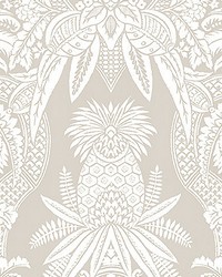 East India Bianco   Beige by   