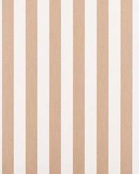 Awning Stripe Dune by  Old World Weavers 