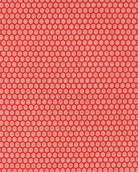 Honeycomb Weave Coral by   