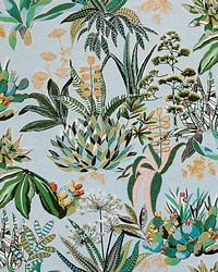 Maquis Tapestry Agave by   