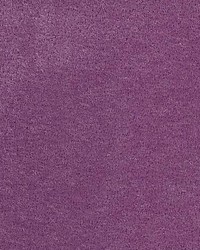 Neva Mohair Grape by   