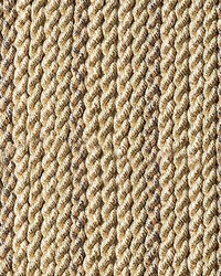 Safari Bullion Fringe B Taupe by  Scalamandre Trim 