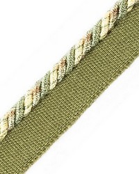 Safari Cord With Tape C Sage by  Scalamandre Trim 