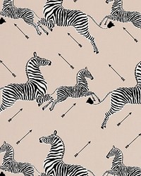 Zebras Petite Sand by   