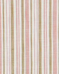 Pembroke Stripe Pink Sand by   