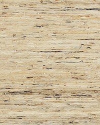 Arrowroot Weave Straw by  Scalamandre Wallcoverings 