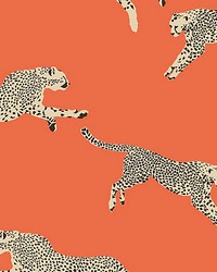 Leaping Cheetah Clementine by  Scalamandre Wallcoverings 