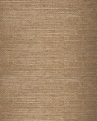 Taj Sisal Ground Nutmeg by  Scalamandre Wallcoverings 