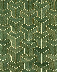 Forte  Wood Cactus by  Scalamandre Wallcoverings 