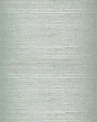 Fret Grasscloth Ground Mineral by  Scalamandre Wallcoverings 