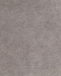 Aurora Velvet Grey Flannel by   