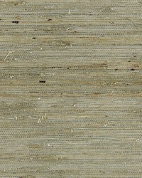 Arrowroot Weave Water by  Scalamandre Wallcoverings 