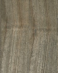 Woodgrain Shark by  Scalamandre Wallcoverings 