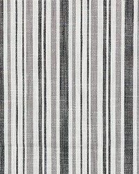 Pembroke Stripe Charcoal by   