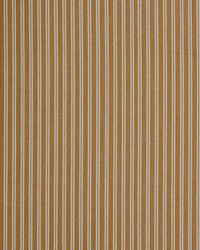 Kent Stripe Camel by   