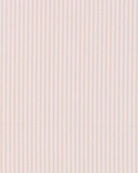 Kent Stripe Petal Pink by   